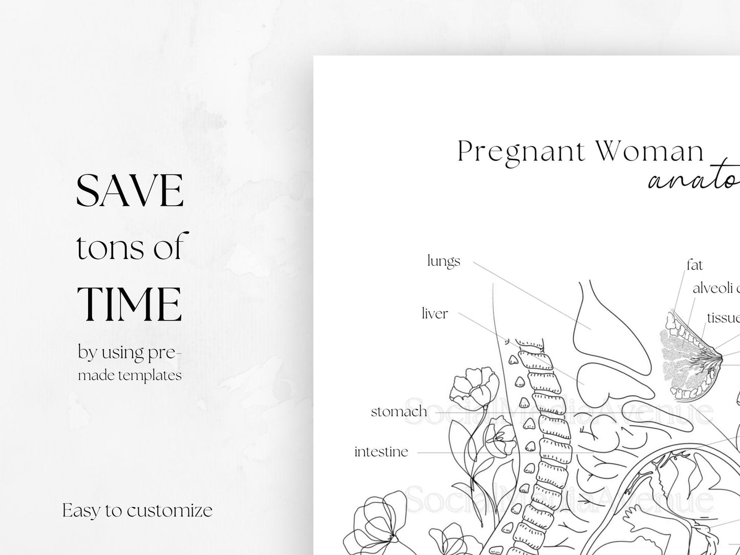 Pregnant Woman Anatomy, Printable