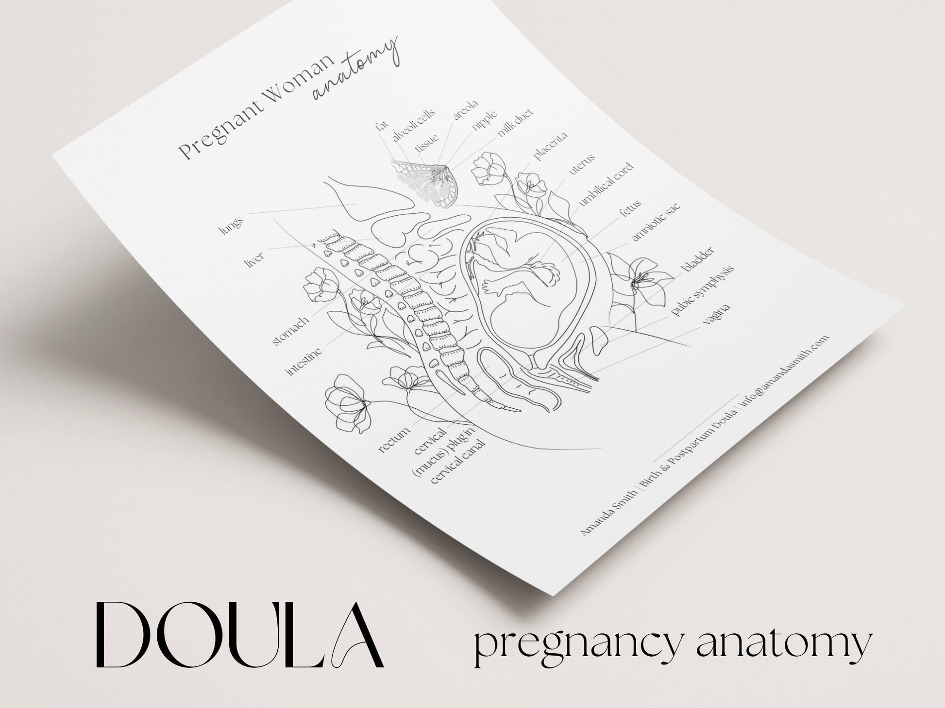 Pregnant Woman Anatomy, Printable made in free Canva for Social Media